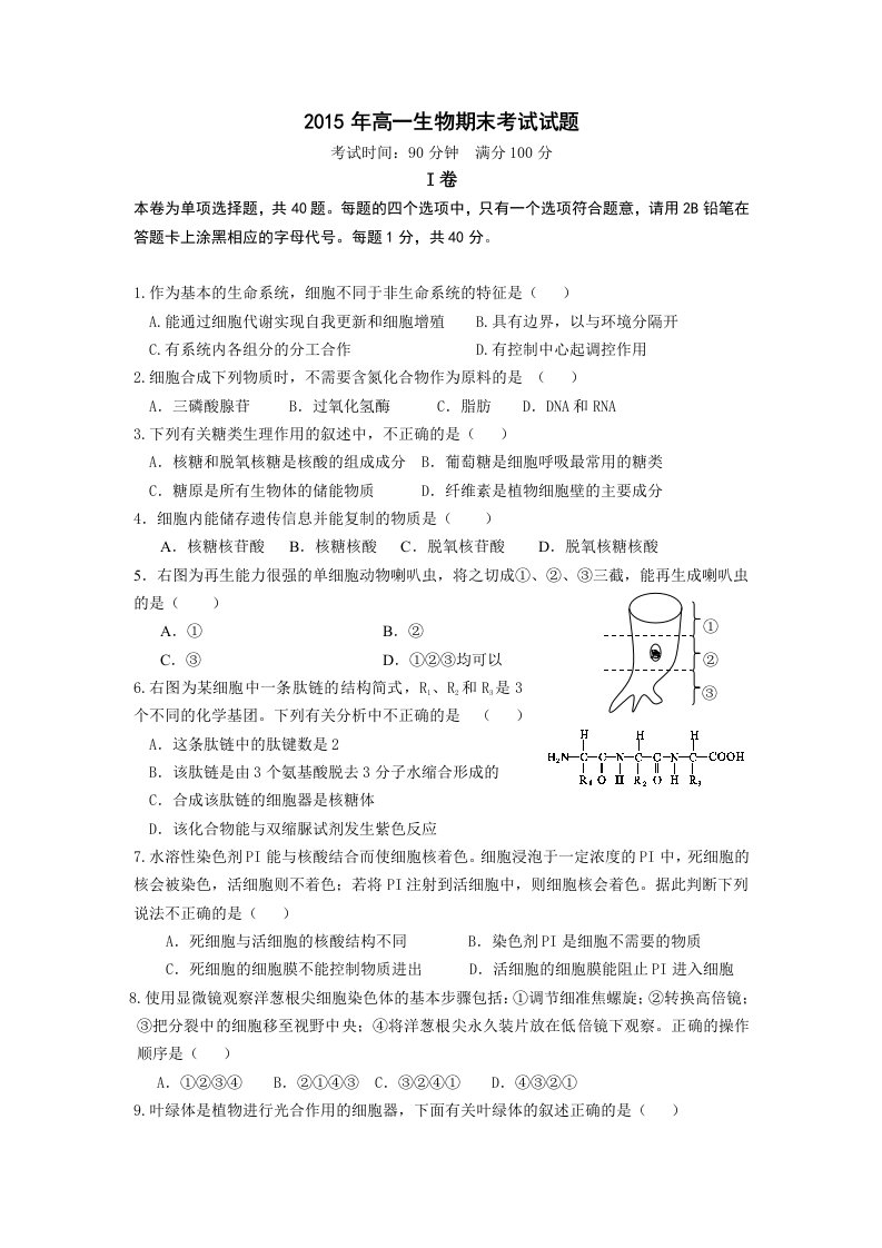 2015年高一生物必修一期末考试(一)