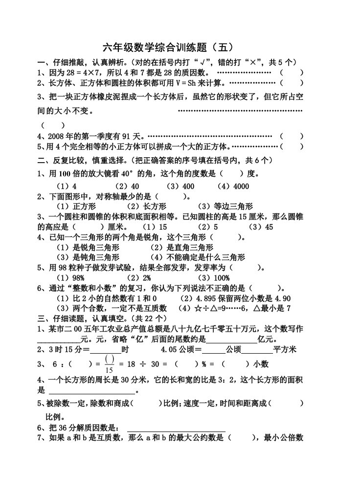 北师大版小学六年级数学毕业综合训练题五