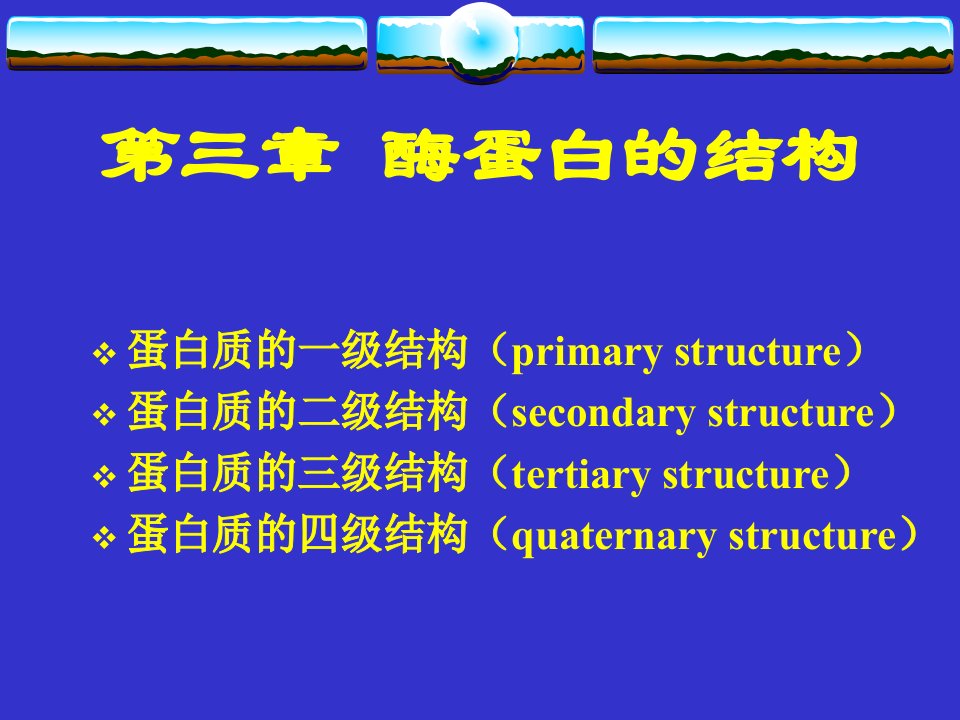 酶蛋白的结构