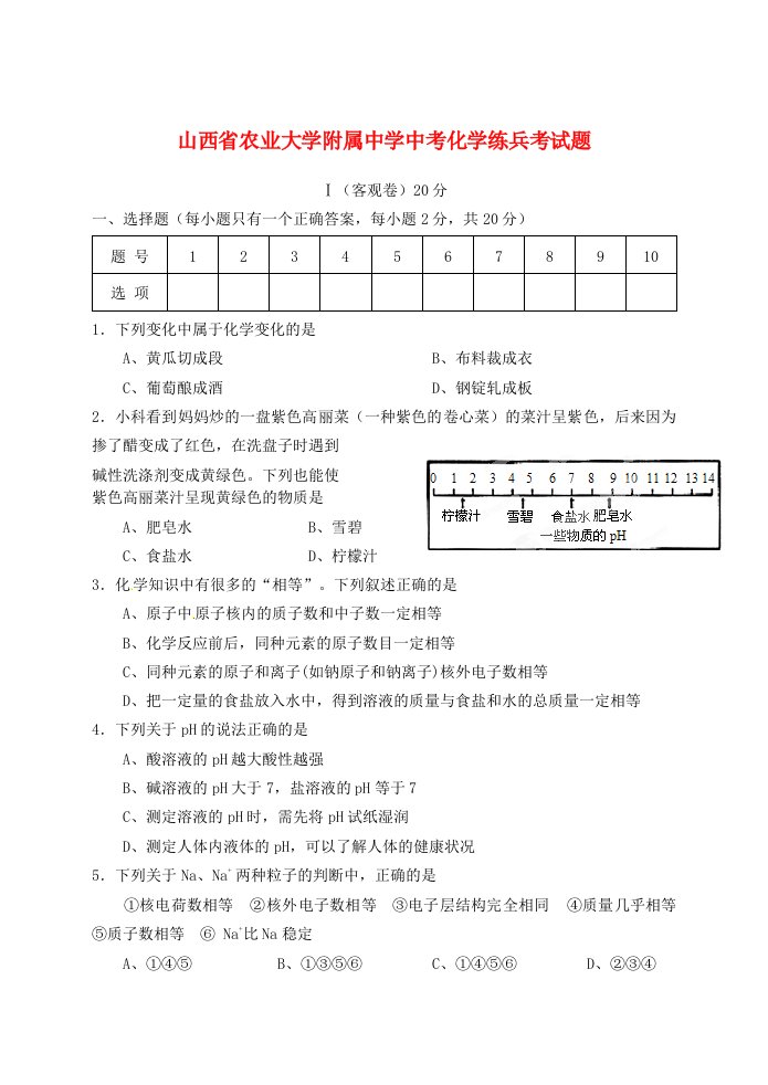 山西省农业大学附属中学中考化学练兵考试题