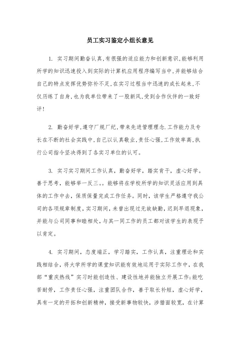 员工实习鉴定小组长意见