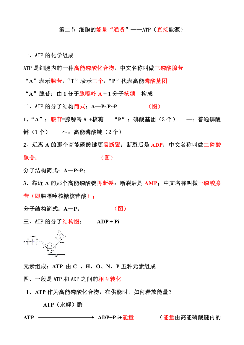 案第二节-细胞的能量“通货”--ATP