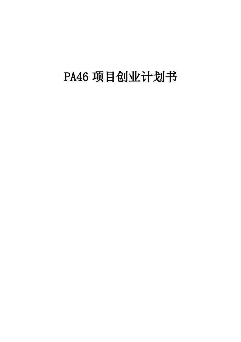 PA46项目创业计划书