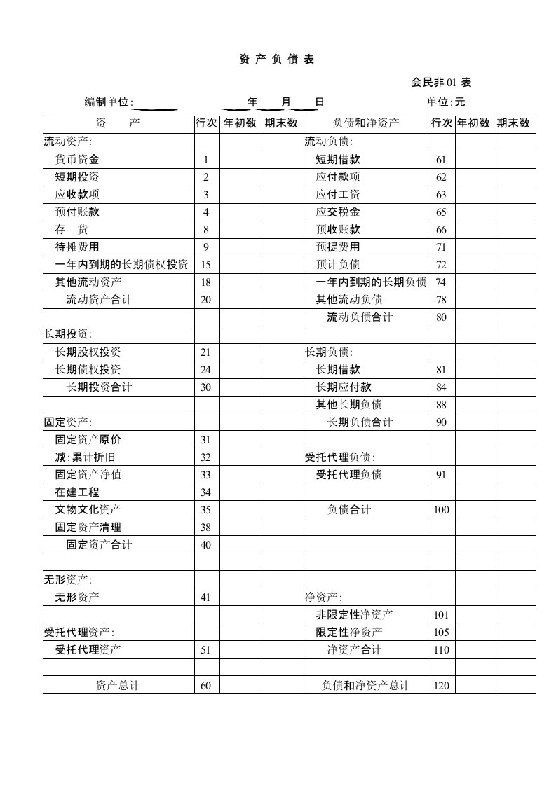 民办非企业单位会计报表