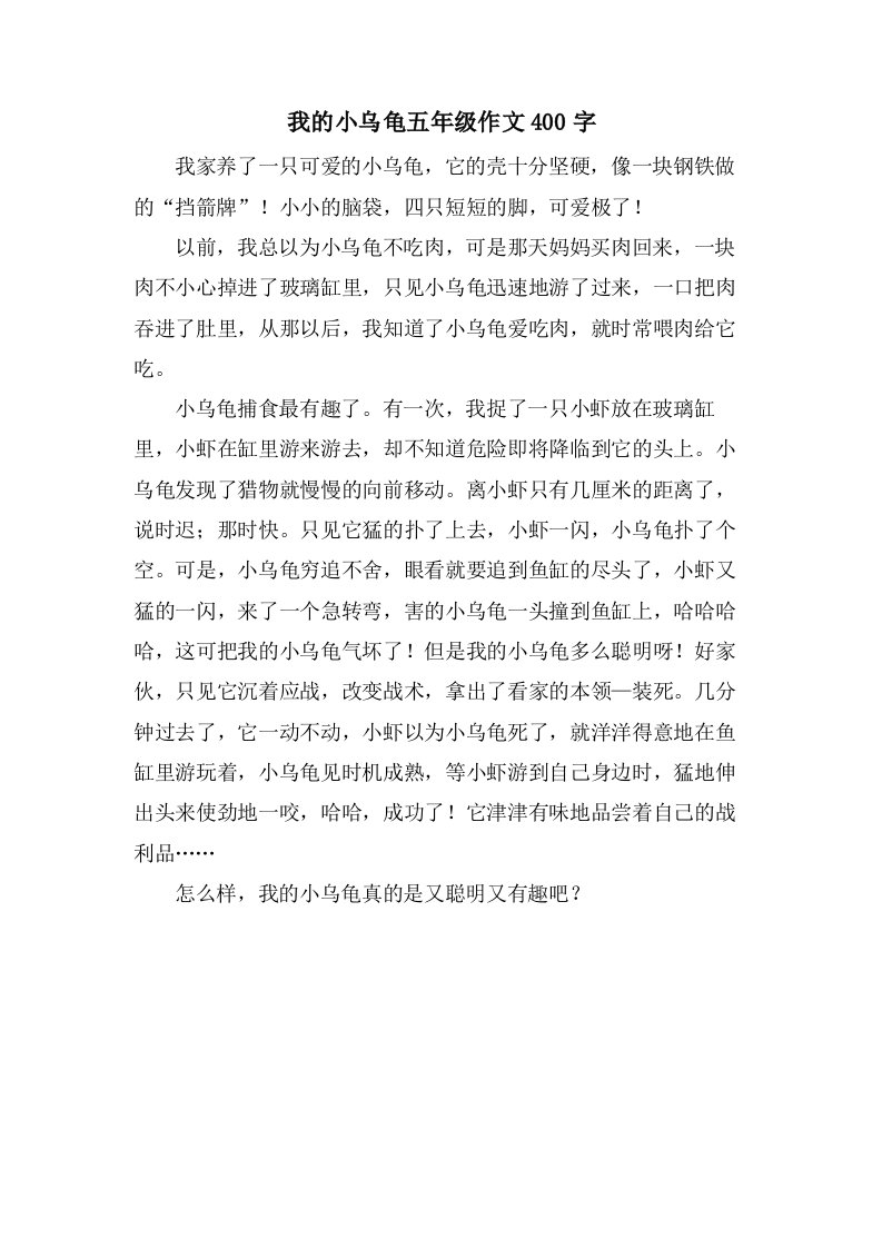 我的小乌龟五年级作文400字