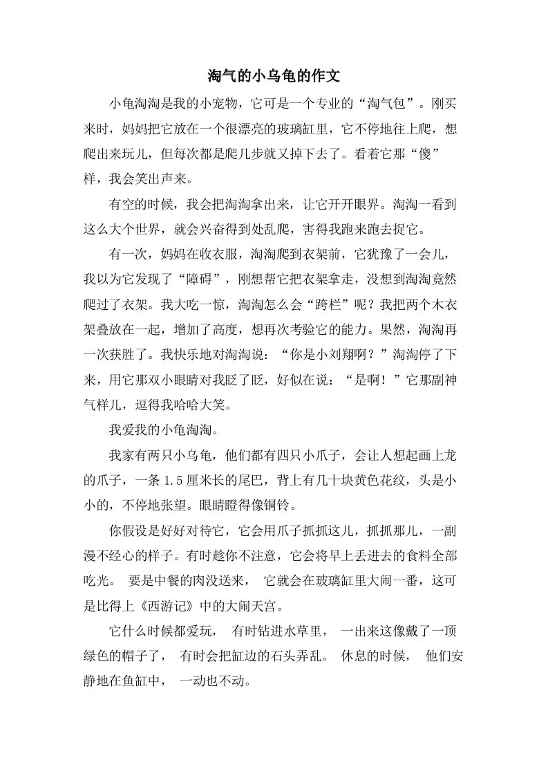 淘气的小乌龟的作文