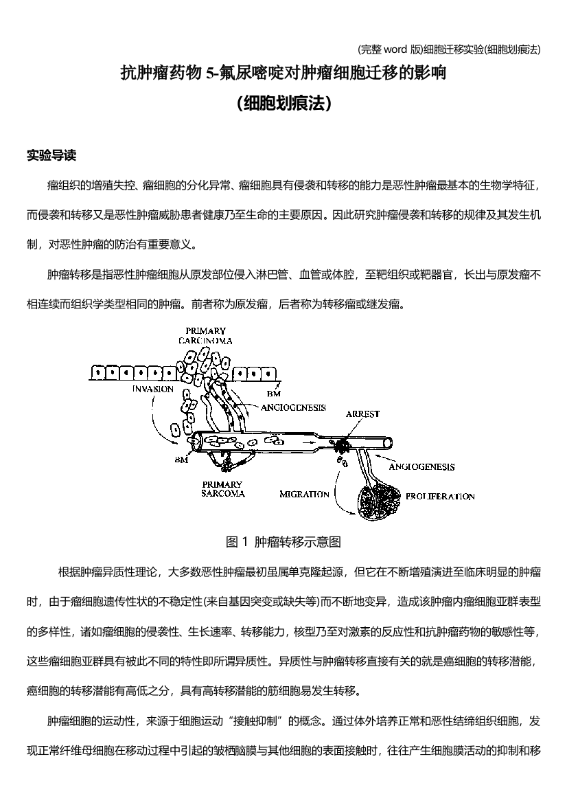 完整word版细胞迁移实验细胞划痕法