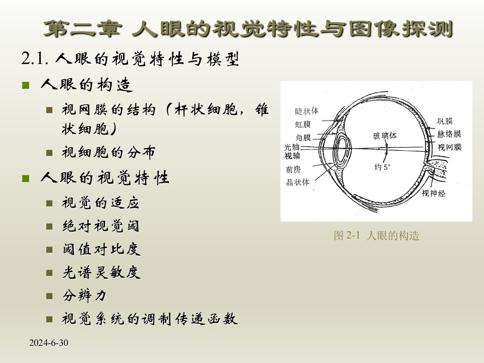 人眼视觉原理第二章人眼的视觉特性与图像探测课件