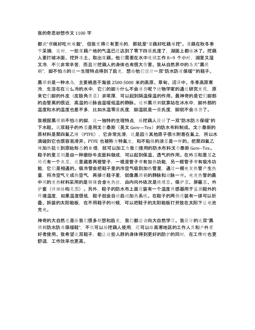 我的奇思妙想作文1100字