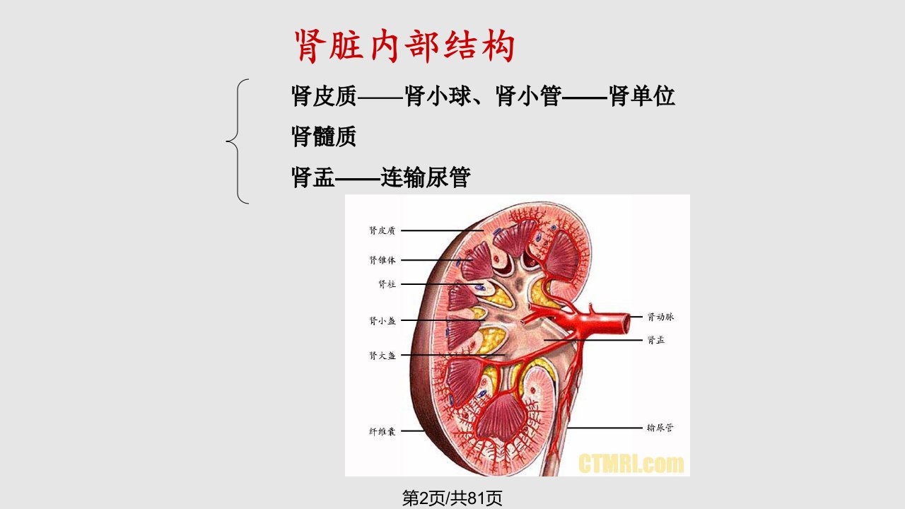 慢性肾衰的护理