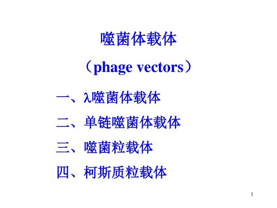 基因工程载体噬菌体载体