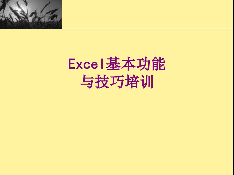 Excel基本功能与技巧培训-PPT课件