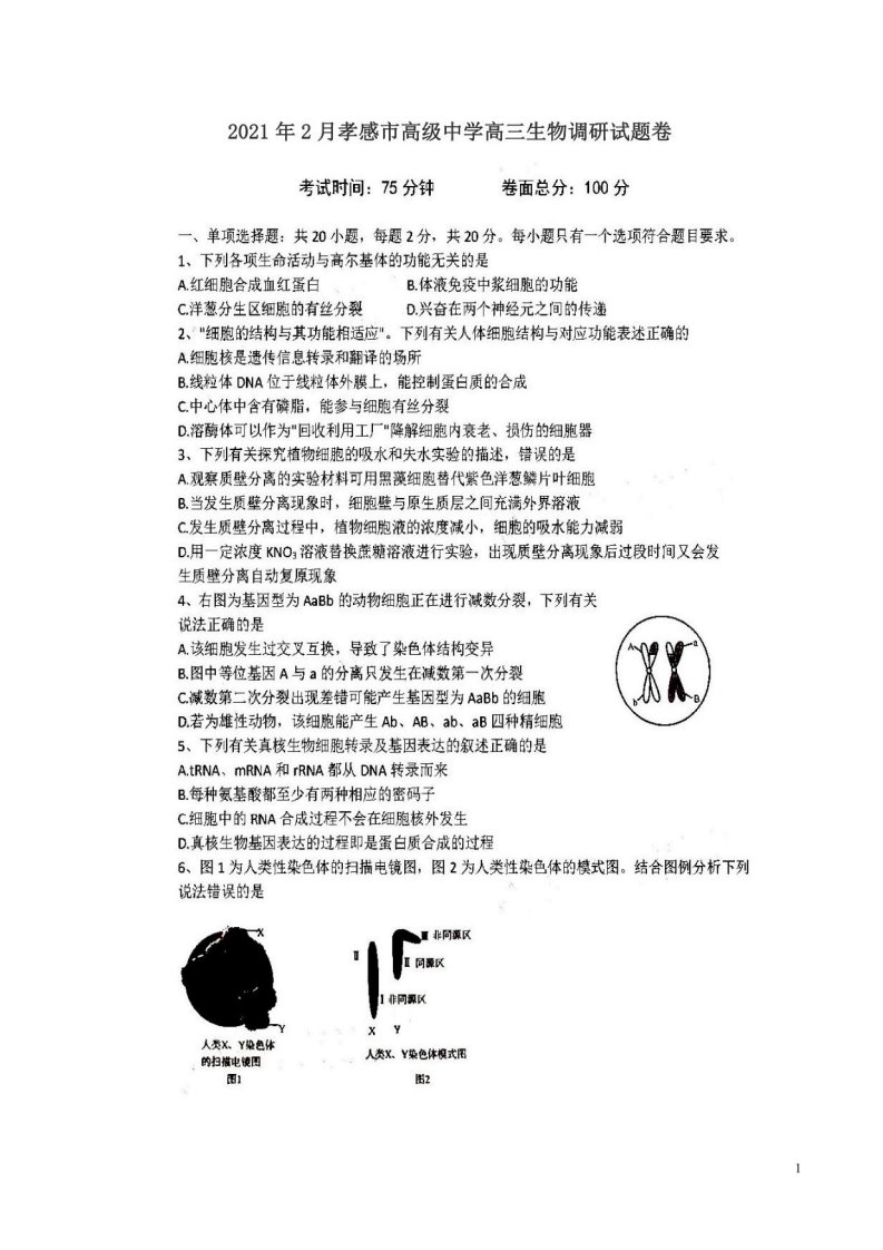 2021年2月孝感市高级中学高三生物调研试题卷附答案解析