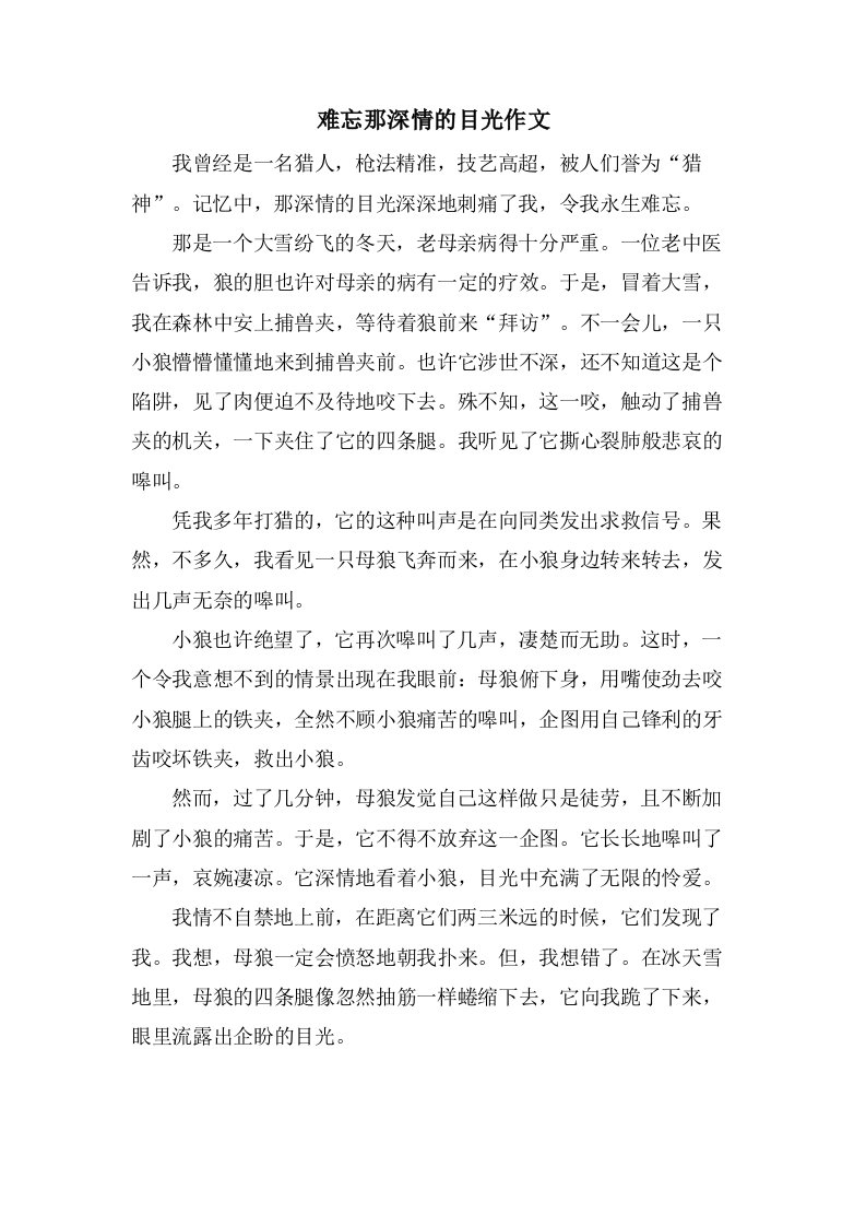 难忘那深情的目光作文