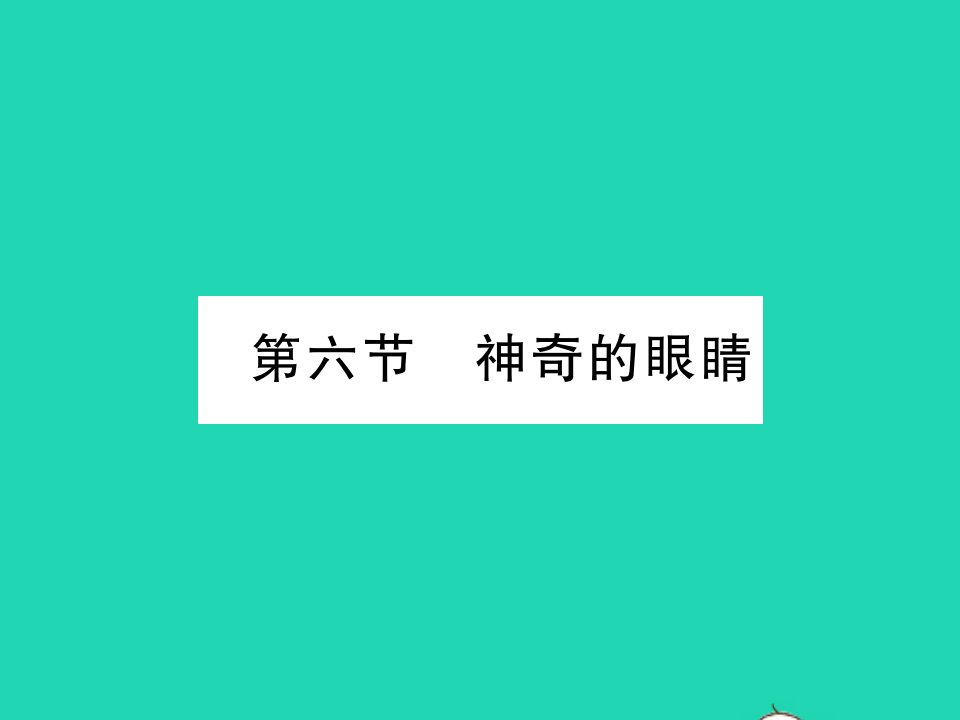 2021八年级物理上册第四章在光的世界里第六节神奇的眼睛习题课件新版教科版