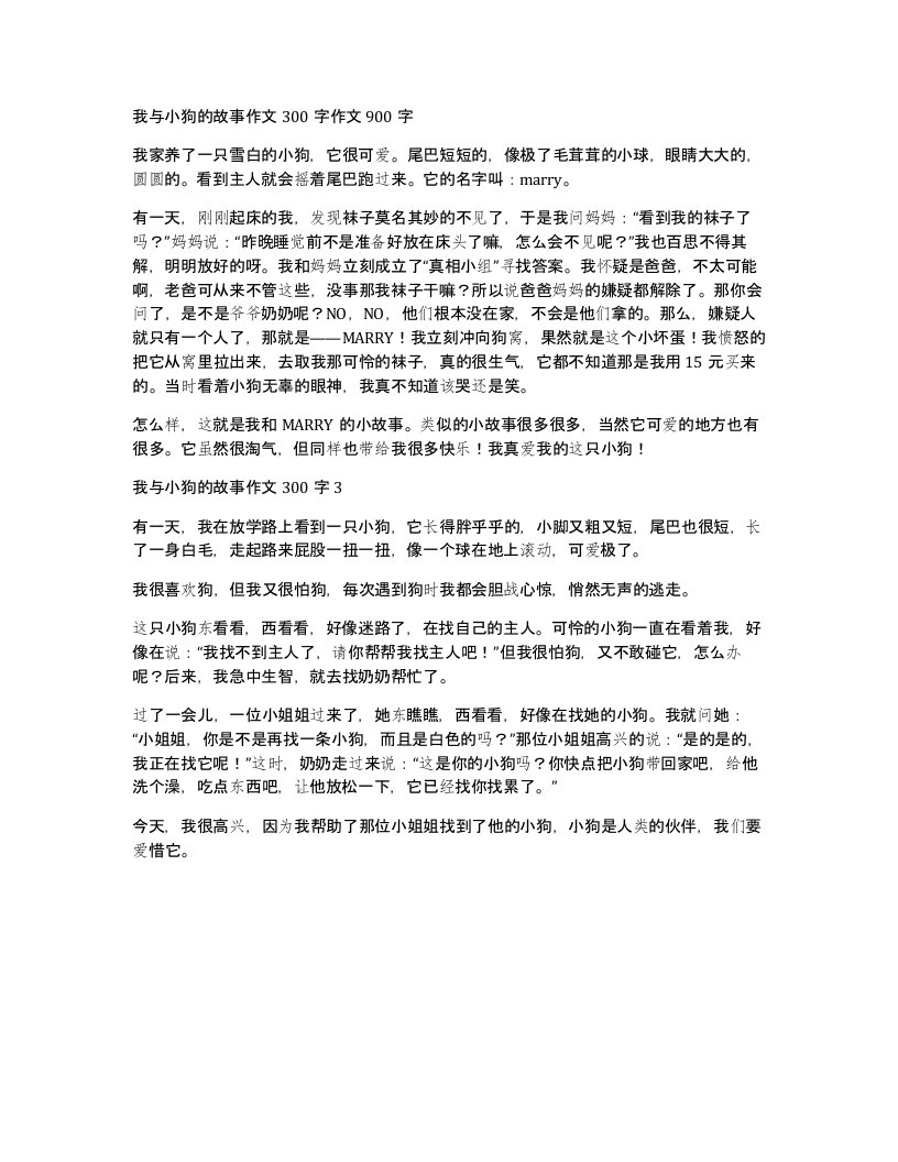 我与小狗的故事作文300字作文900字