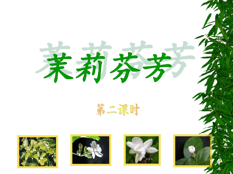 茉莉芬芳课件