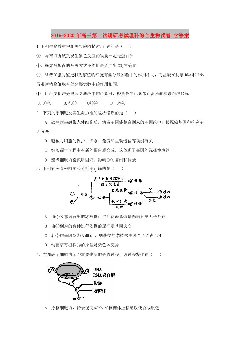 2019-2020年高三第一次调研考试理科综合生物试卷