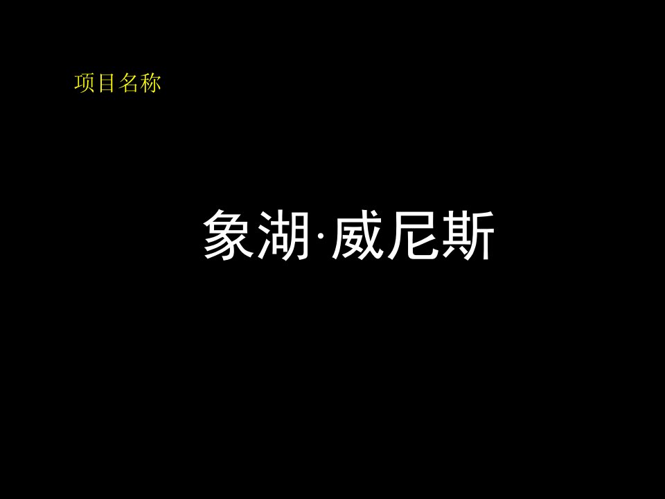 房地产策划案例象湖威尼斯