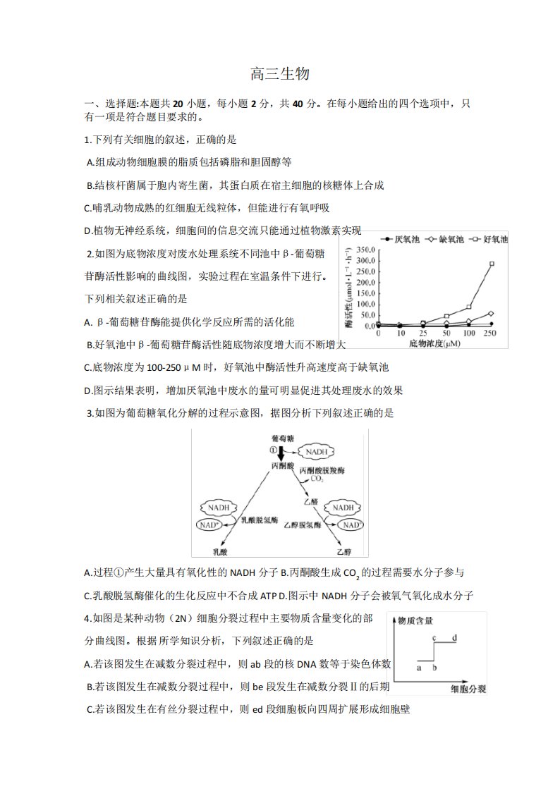 湖北省新高考联考协作体2022-2023学年高三下学期4月月考生物试题