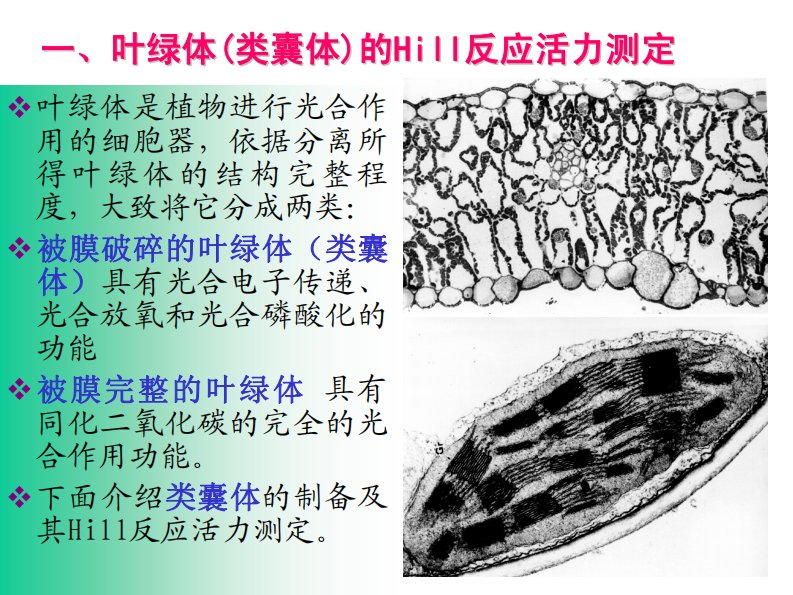 叶绿体-(-类囊体-)的-hill反应活力测定