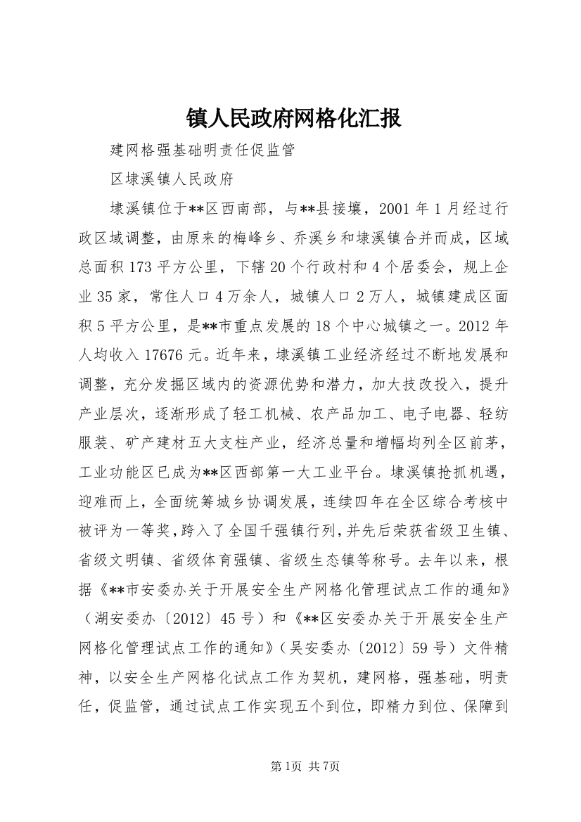 镇人民政府网格化汇报