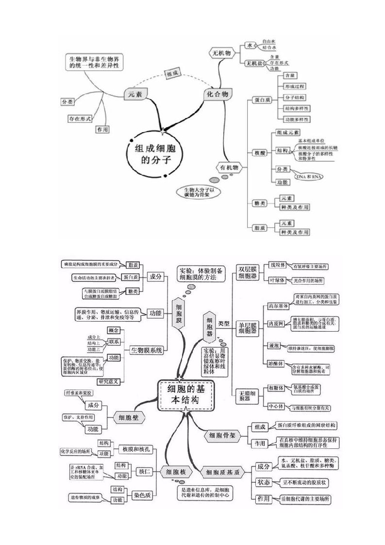 高中生物20张思维导图