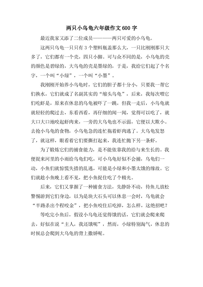 两只小乌龟六年级作文600字