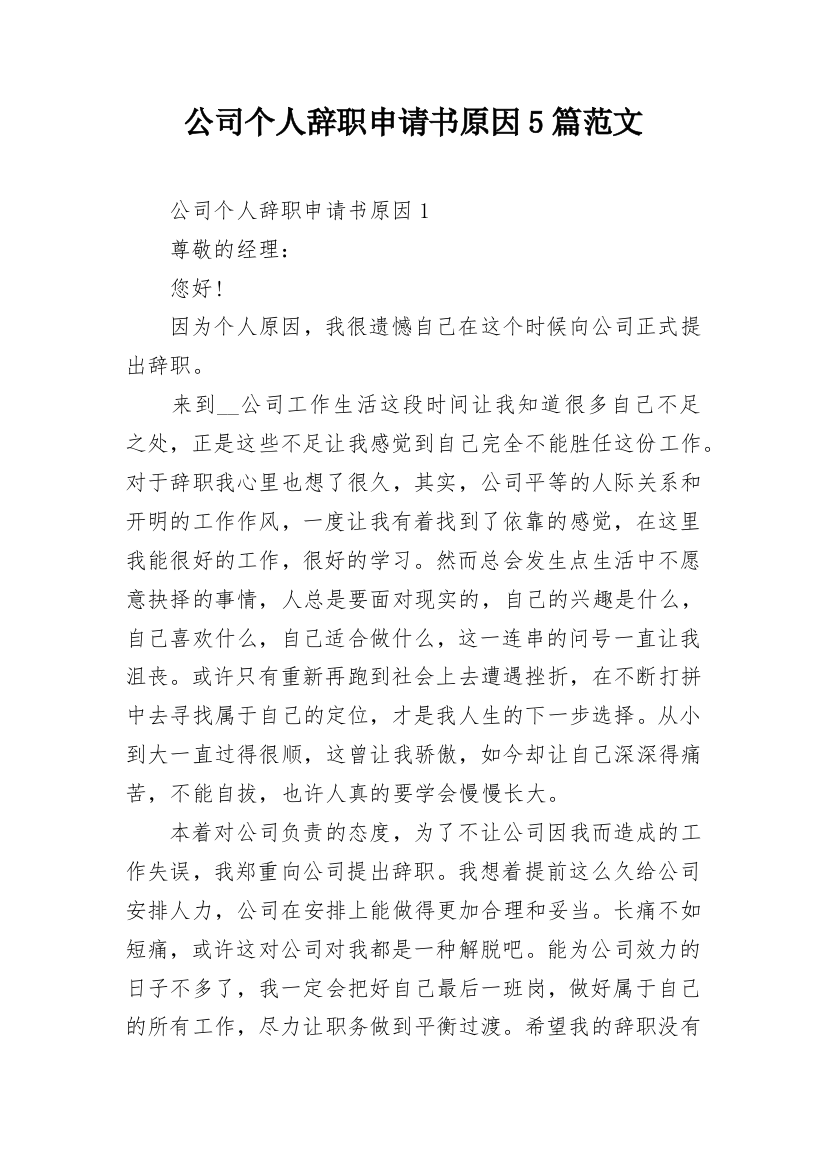 公司个人辞职申请书原因5篇范文