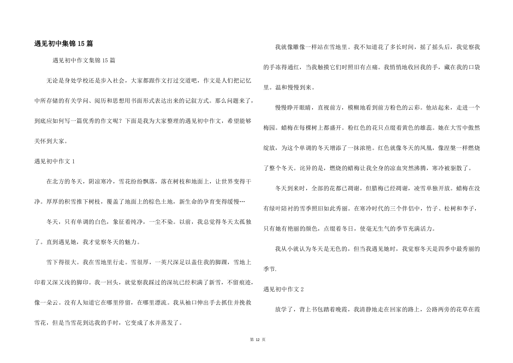 遇见初中集锦15篇