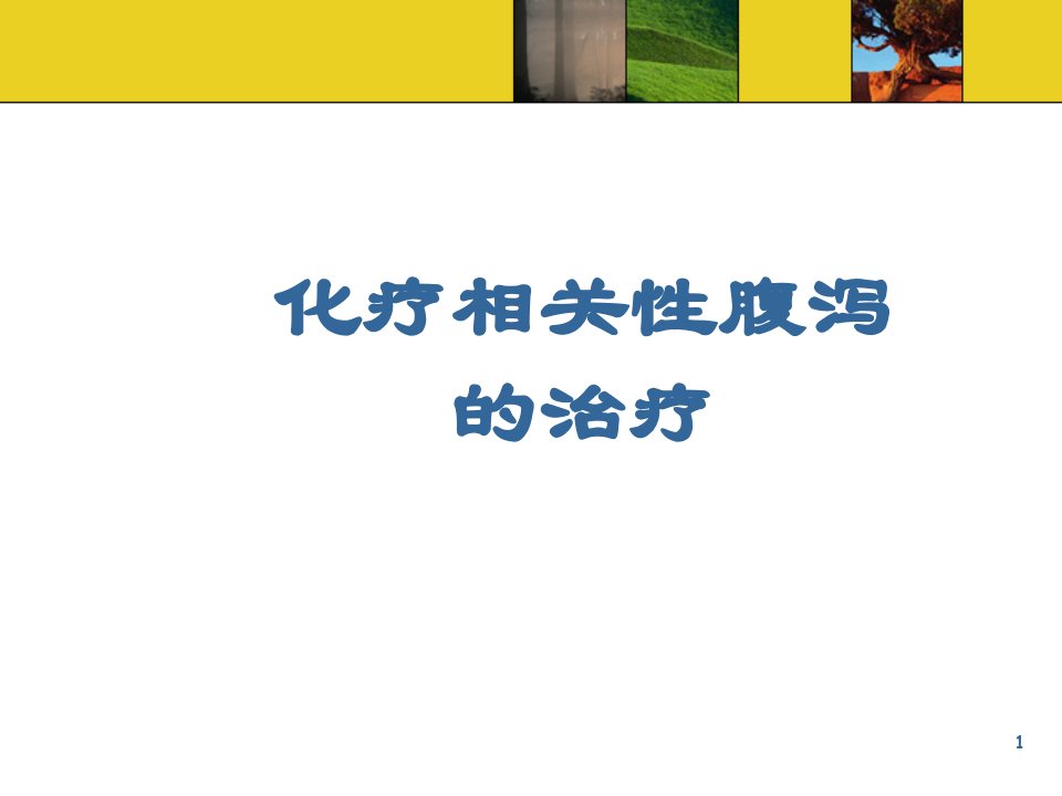 化疗相关性腹泻的治疗ppt课件