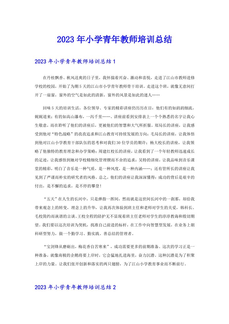 2023年小学青年教师培训总结