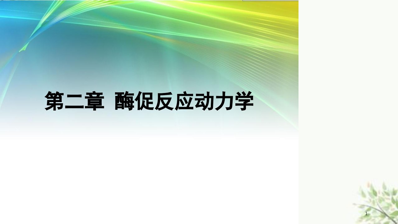 生化反应工程酶促反应动力学课件