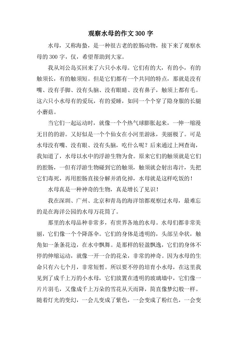 观察水母的作文300字