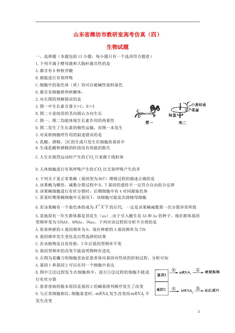 山东省潍坊市教研室高考生物仿真（四）试题新人教版