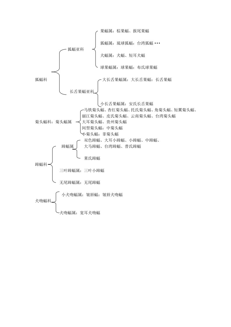 蝙蝠分类