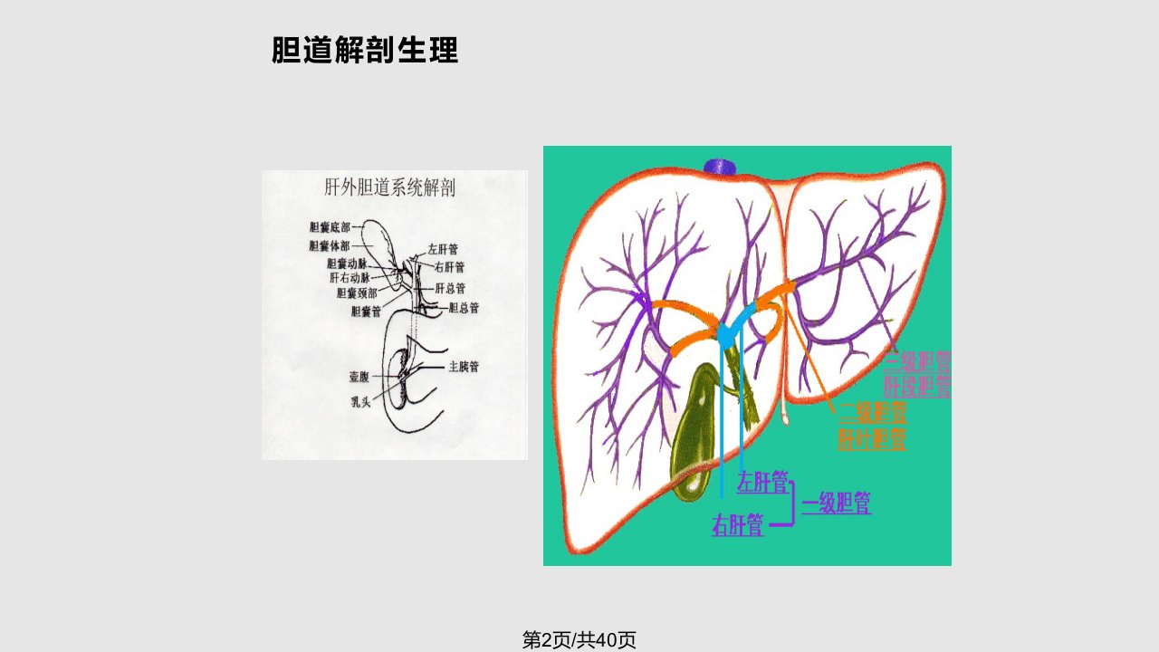 民勤县协和医院胆囊结石及其防治