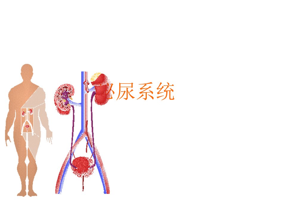 核医学泌尿系统