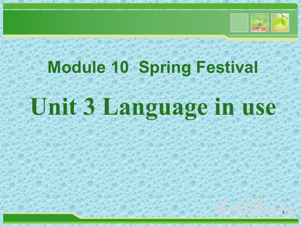 外研版英语七年级上册：Module10《Spring-Festival》课件