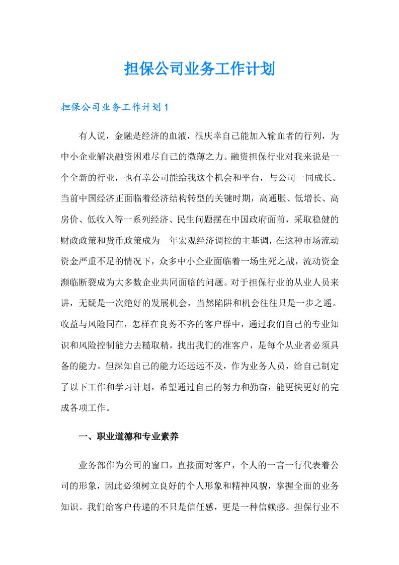 担保公司业务工作计划