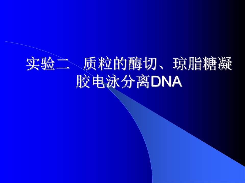 质粒的酶切琼脂糖凝胶电泳分离DNA