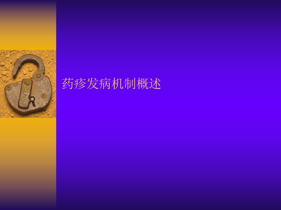 《药疹发病机制概述》PPT课件