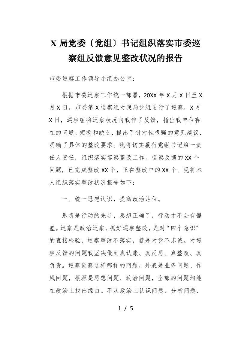 X局党委党组书记组织落实市委巡察组反馈意见整改情况的报告