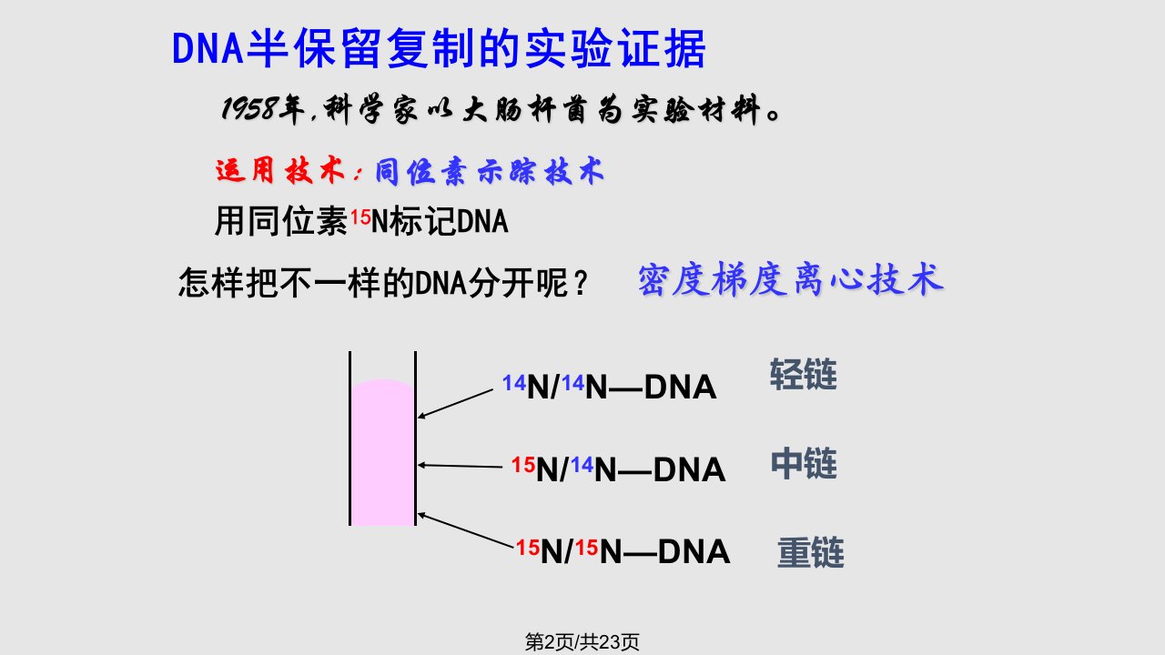 DNA的分子复制和基因是有遗传效应的DNA片段