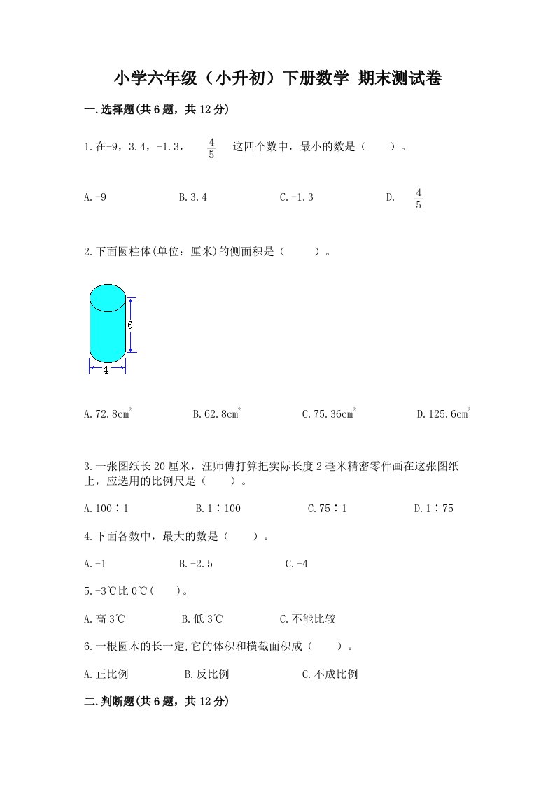 小学六年级（小升初）下册数学