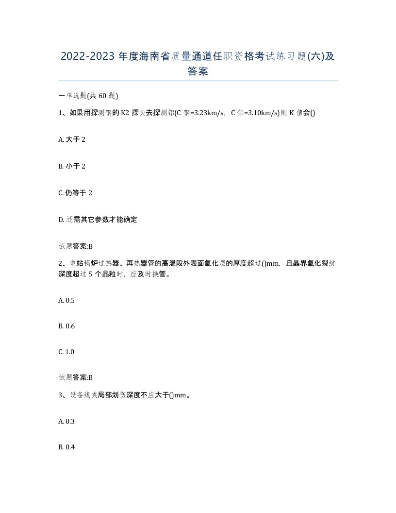 20222023年度海南省质量通道任职资格考试练习题六及答案