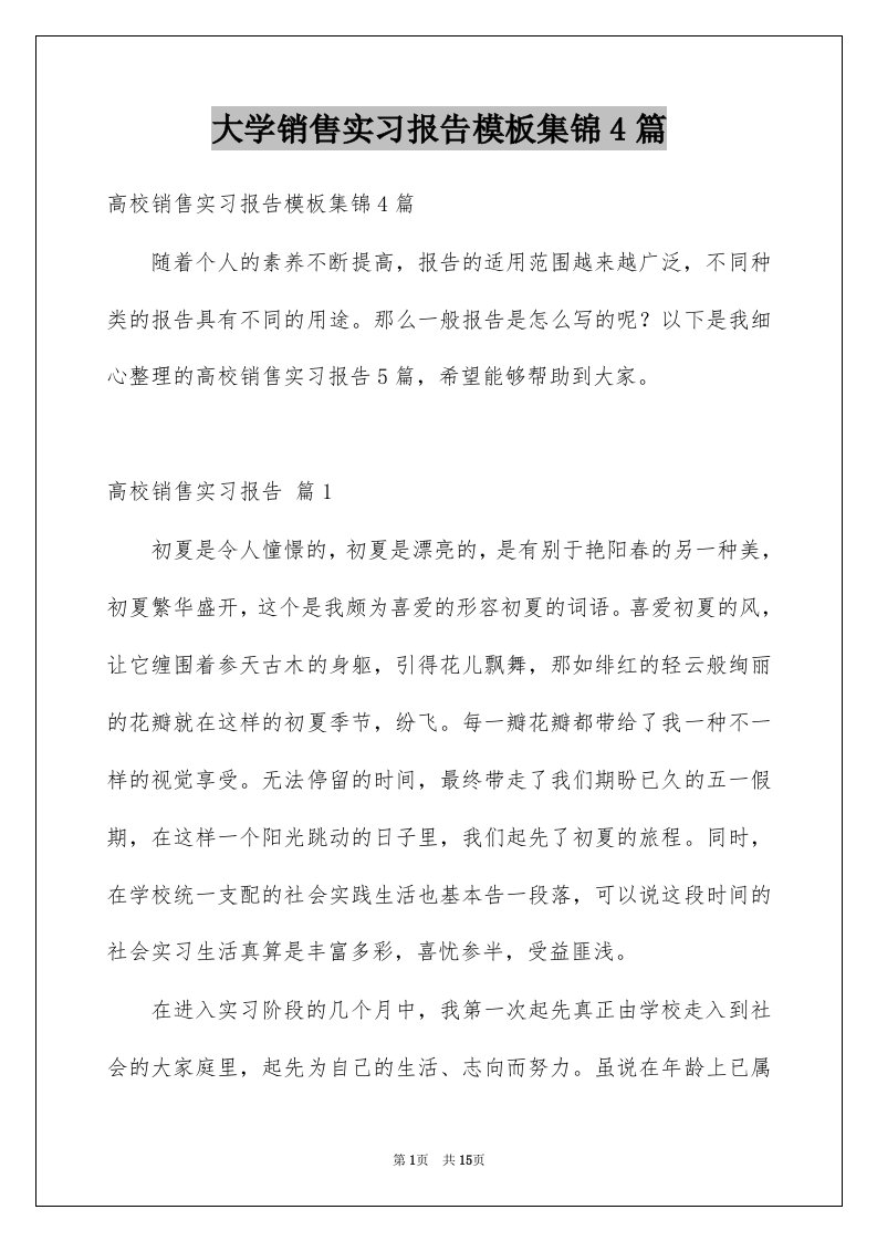 大学销售实习报告模板集锦4篇