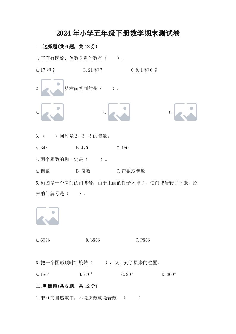 2024年小学五年级下册数学期末测试卷【典优】