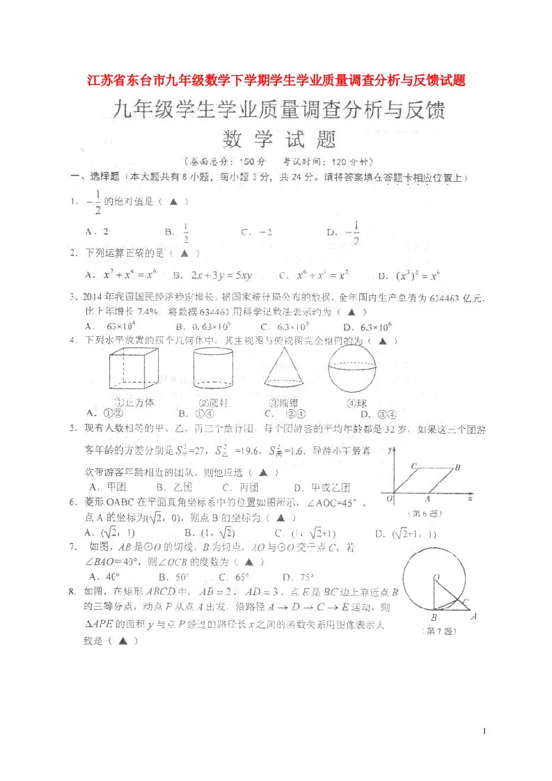 江苏省东台市九级数学下学期学生学业质量调查分析与反馈试题（扫描版）