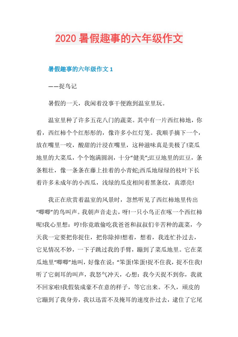 暑假趣事的六年级作文